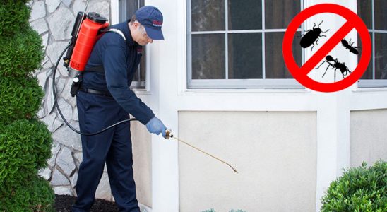 Başkale Karınca İlaçlama böcek ilaçlama ve haşere kontrolü — ilaclama-tr.com